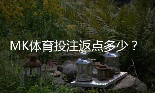 MK体育投注返点多少？高额返点优惠全解析
