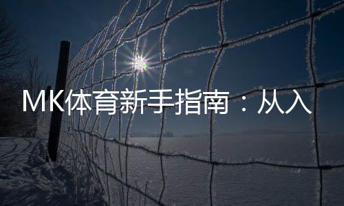 MK体育新手指南：从入门到精通的实战攻略