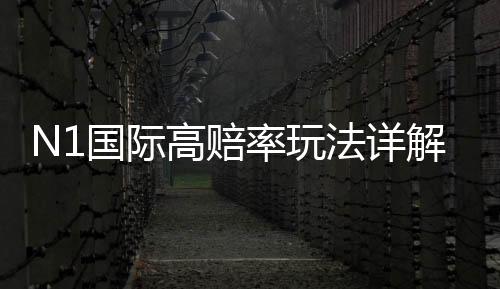 N1国际高赔率玩法详解：新手入门、投注技巧与风险控制