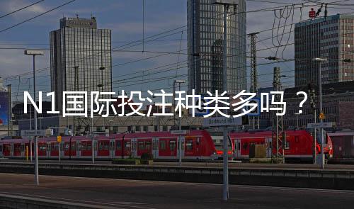 N1国际投注种类多吗？完整玩法分类与新手入门攻略