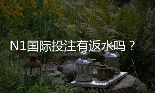 N1国际投注有返水吗？返水比例、计算与领取攻略一次看懂