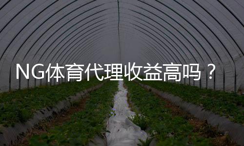 NG体育代理收益高吗?真实利润、成本与风险全方位解析