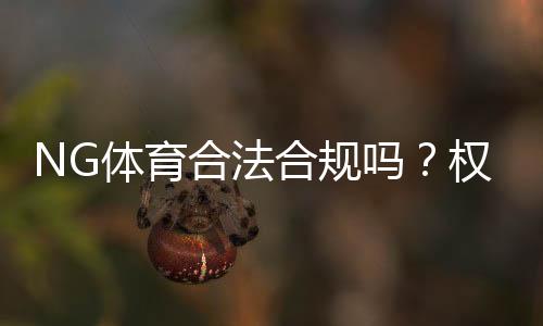 NG体育合法合规吗?权威资质核查与法律风险全解析