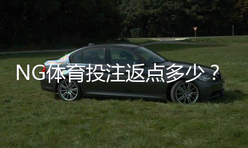 NG体育投注返点多少?最新返点比例、计算方法与领取攻略
