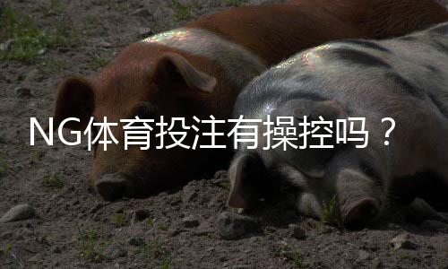 NG体育投注有操控吗？真实玩家评价、投诉案例与风险防范全解析