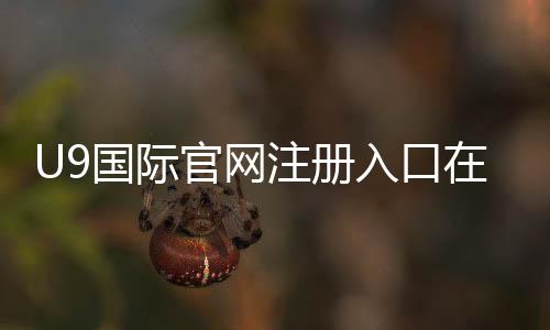 U9国际官网注册入口在哪里?新手快速注册流程与注意事项详解