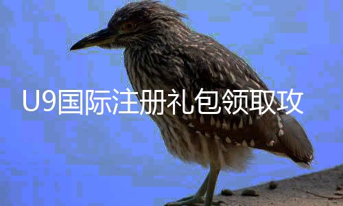U9国际注册礼包领取攻略：新人福利、注册步骤与常见问题解答