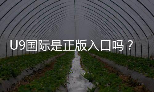 U9国际是正版入口吗？真伪鉴别、风险提示与安全登录指南