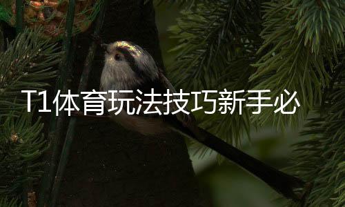 T1体育玩法技巧新手必看：快速上手与实战盈利攻略