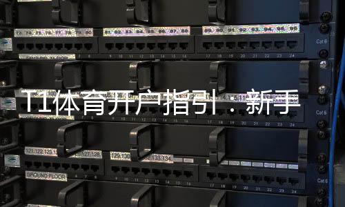 T1体育开户指引:新手注册流程、身份验证与安全注意事项详解