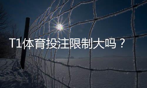 T1体育投注限制大吗?全面解析限制范围、原因与新手应对建议