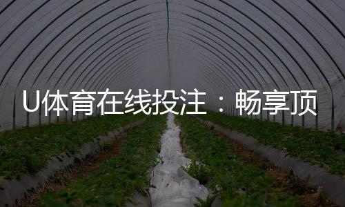 U体育在线投注：畅享顶级赛事投注与高额返水优惠