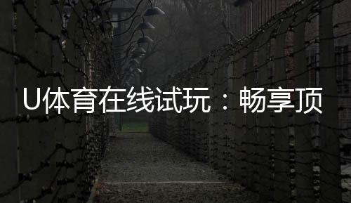 U体育在线试玩:畅享顶级电子游艺的试玩乐趣