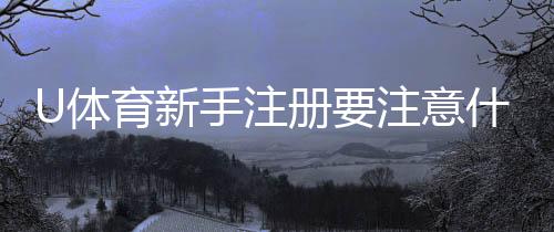 U体育新手注册要注意什么?5个关键细节助你顺利开局
