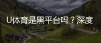 U体育是黑平台吗？深度解析其安全性与玩家评价