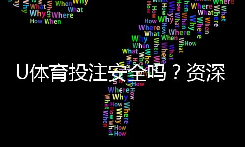 U体育投注安全吗?资深玩家解析平台可靠性与资金保障