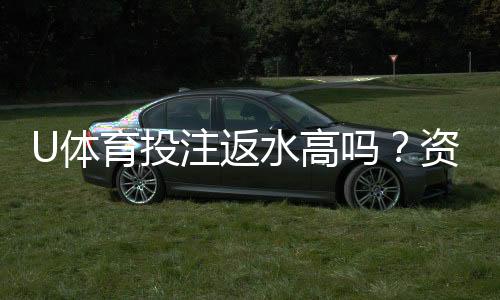 U体育投注返水高吗？资深玩家揭秘返水比例与实战技巧