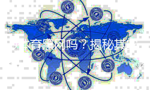 U体育黑网吗?揭秘其安全性及玩家真实体验