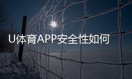 U体育APP安全性如何?资深玩家实测解析平台安全机制