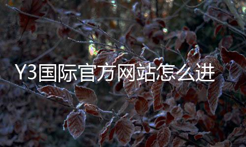 Y3国际官方网站怎么进？官网入口、登录注册与安全验证全攻略