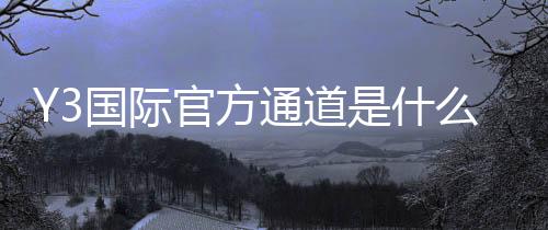 Y3国际官方通道是什么?官方入口、注册登录与安全使用全攻略