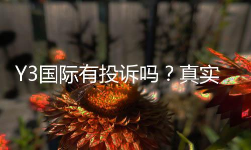 Y3国际有投诉吗？真实投诉案例、处理流程与防骗维权攻略