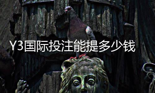 Y3国际投注能提多少钱？提现额度、手续费与到账时间一文看懂
