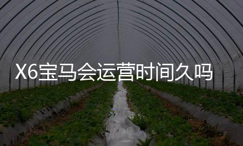X6宝马会运营时间久吗?资深玩家解析平台历史与稳定性