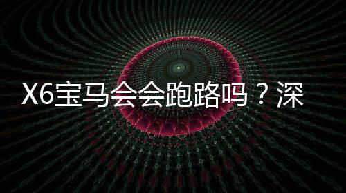 X6宝马会会跑路吗？深度解析平台信誉与资金安全