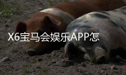 X6宝马会娱乐APP怎么样？资深玩家带你全面评测体验