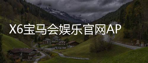 X6宝马会娱乐官网APP：畅享豪华电游体验与真人棋牌乐趣