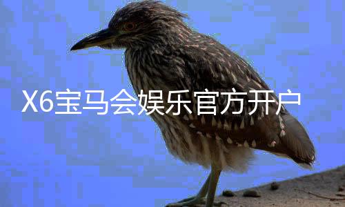 X6宝马会娱乐官方开户流程：轻松注册三步搞定畅享豪华游戏体验