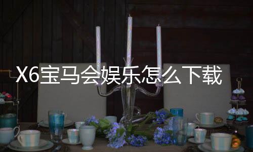 X6宝马会娱乐怎么下载？手把手教你快速安装畅玩攻略