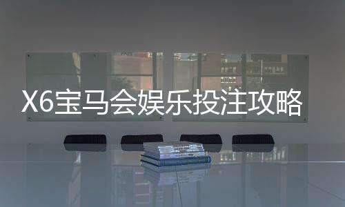 X6宝马会娱乐投注攻略:资深玩家教你稳赢技巧与实战心得