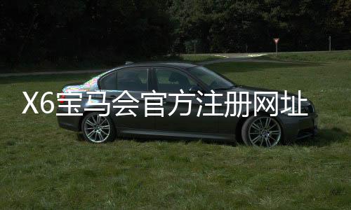 X6宝马会官方注册网址:畅享豪华电游盛宴与尊贵注册礼遇