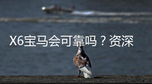 X6宝马会可靠吗？资深玩家揭秘其真实性与游戏体验
