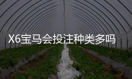 X6宝马会投注种类多吗?揭秘平台热门游戏与特色玩法