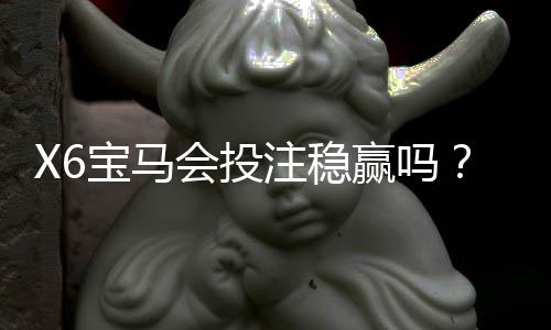 X6宝马会投注稳赢吗？揭秘稳赢策略与实战技巧