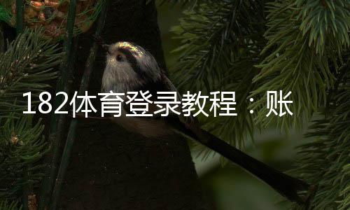 182体育登录教程：账号注册、手机PC快速登录与常见问题解决