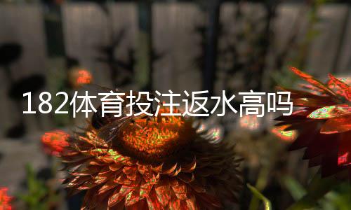 182体育投注返水高吗？真实返水比例、计算方法与领取攻略