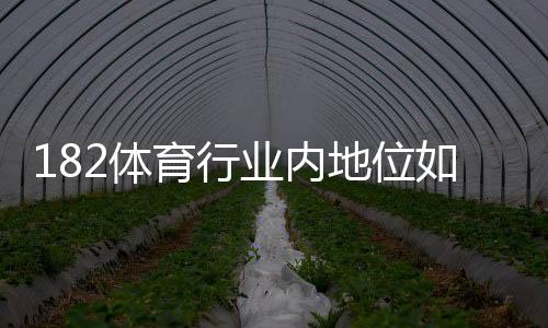 182体育行业内地位如何?市场定位、竞争力与发展前景深度解析