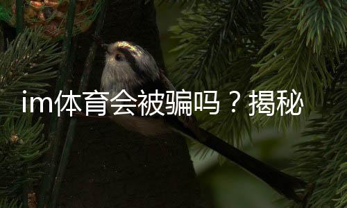 im体育会被骗吗？揭秘平台风险与防骗技巧