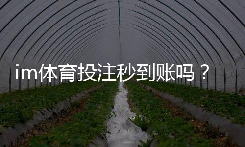 im体育投注秒到账吗?实测到账速度与提款技巧分享
