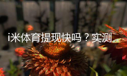 i米体育提现快吗？实测到账速度与提现技巧分享