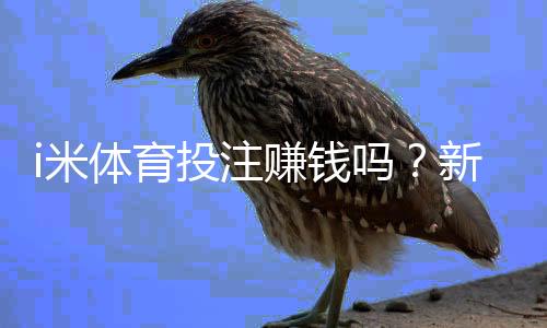 i米体育投注赚钱吗？新手必看平台评测、收益与风险一文看懂
