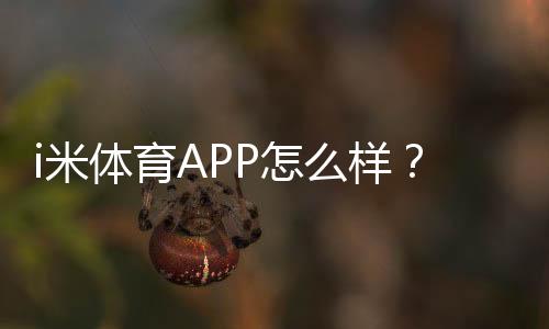 i米体育APP怎么样？资深玩家实测体验与下载攻略分享
