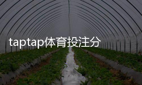 taptap体育投注分析靠谱吗?真实测评、用户口碑与风险防范全解析